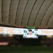 ヒメ日記 2025/11/28 13:18 投稿 まきは 4/30体験入店!!! Office Love　町田店（Loveグループ）