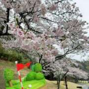 ヒメ日記 2026/04/02 19:08 投稿 まきは 4/30体験入店!!! Office Love　町田店（Loveグループ）