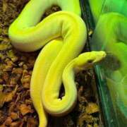 ヒメ日記 2025/01/02 16:02 投稿 さや 奥様の実話 谷九店