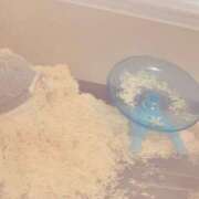 ヒメ日記 2025/02/06 00:22 投稿 さや 奥様の実話 谷九店