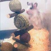 ヒメ日記 2025/04/13 00:00 投稿 さや 奥様の実話 谷九店