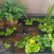 ヒメ日記 2025/07/11 20:06 投稿 さや 奥様の実話 谷九店