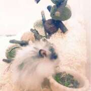 ヒメ日記 2025/09/02 11:45 投稿 さや 奥様の実話 谷九店