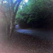 ヒメ日記 2025/10/08 12:15 投稿 さや 奥様の実話 谷九店