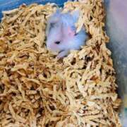 ヒメ日記 2025/10/26 15:00 投稿 さや 奥様の実話 谷九店