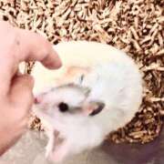 ヒメ日記 2025/11/24 11:00 投稿 さや 奥様の実話 谷九店