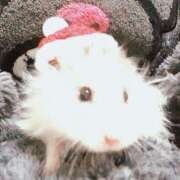 ヒメ日記 2025/12/24 10:00 投稿 さや 奥様の実話 谷九店