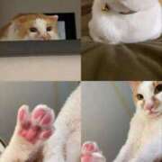 ヒメ日記 2025/09/24 01:11 投稿 ニーナ 【福岡デリヘル】20代・30代★博多で評判のお店はココです！