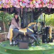 ヒメ日記 2024/12/12 11:19 投稿 小野寺　看護師 うちの看護師にできることと言ったら・・・in渋谷KANGO