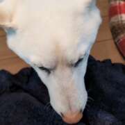 ヒメ日記 2025/01/21 12:15 投稿 小野寺 看護師 うちの看護師にできることと言ったら・・・in渋谷KANGO