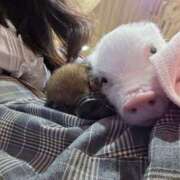 ヒメ日記 2026/01/07 10:52 投稿 小野寺　看護師 うちの看護師にできることと言ったら・・・in渋谷KANGO