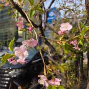 ヒメ日記 2026/02/24 21:29 投稿 小野寺　看護師 渋谷アナル専門M性感　渋谷KANGO