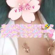 ヒメ日記 2025/03/22 11:04 投稿 永恋-えれん【FG系列】 ほんとうの人妻 厚木店【FG系列】