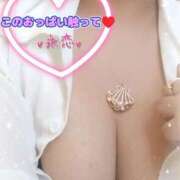 ヒメ日記 2025/03/22 16:50 投稿 永恋-えれん【FG系列】 ほんとうの人妻 厚木店【FG系列】