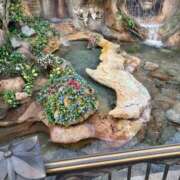 ヒメ日記 2025/01/20 17:25 投稿 あんず アラモード