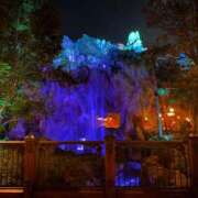 ヒメ日記 2025/01/22 22:00 投稿 あんず アラモード