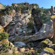 ヒメ日記 2025/02/13 20:45 投稿 あんず アラモード