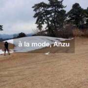 ヒメ日記 2025/02/17 16:48 投稿 あんず アラモード