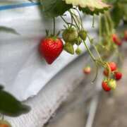 ヒメ日記 2025/03/06 17:42 投稿 あんず アラモード