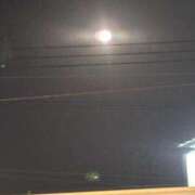 ヒメ日記 2025/03/16 14:52 投稿 あんず アラモード