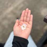 ヒメ日記 2025/04/05 12:29 投稿 あんず アラモード