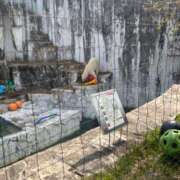 ヒメ日記 2025/04/19 12:39 投稿 あんず アラモード