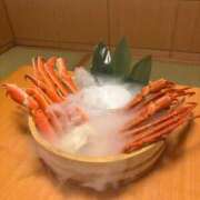 ヒメ日記 2025/05/02 08:35 投稿 あんず アラモード