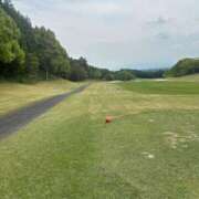 ヒメ日記 2025/05/22 19:45 投稿 あんず アラモード