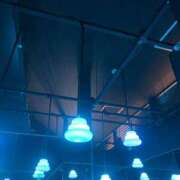 ヒメ日記 2025/05/23 17:12 投稿 あんず アラモード