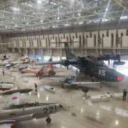 ヒメ日記 2025/05/26 17:01 投稿 あんず アラモード