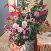 ヒメ日記 2025/01/23 15:51 投稿 ななえ 佐久上田人妻隊