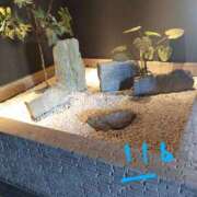 ヒメ日記 2025/02/19 07:59 投稿 ななえ 佐久上田人妻隊