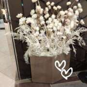 ヒメ日記 2025/02/25 11:13 投稿 ななえ 佐久上田人妻隊