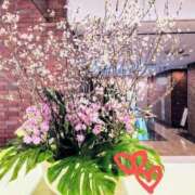 ヒメ日記 2025/02/26 09:26 投稿 ななえ 佐久上田人妻隊