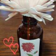 ヒメ日記 2025/02/28 07:06 投稿 ななえ 佐久上田人妻隊