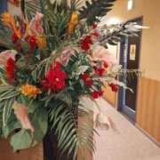 ヒメ日記 2025/02/28 17:23 投稿 ななえ 佐久上田人妻隊