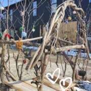 ヒメ日記 2025/03/22 17:51 投稿 ななえ 佐久上田人妻隊