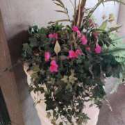 ヒメ日記 2025/04/02 12:02 投稿 ななえ 佐久上田人妻隊