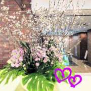 ヒメ日記 2025/04/06 21:53 投稿 ななえ 佐久上田人妻隊