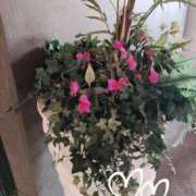 ヒメ日記 2025/04/16 17:24 投稿 ななえ 佐久上田人妻隊