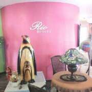 ヒメ日記 2025/09/04 17:52 投稿 ななえ 佐久上田人妻隊