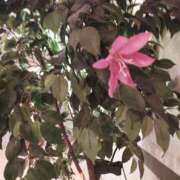 ヒメ日記 2025/10/17 22:08 投稿 ななえ 佐久上田人妻隊