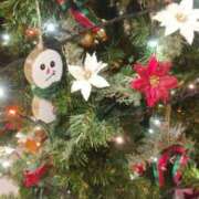 ヒメ日記 2025/12/20 23:32 投稿 ななえ 佐久上田人妻隊