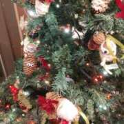 ヒメ日記 2025/12/25 06:13 投稿 ななえ 佐久上田人妻隊