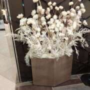 ななえ 💝明日、年内最後の出勤💝 佐久上田人妻隊