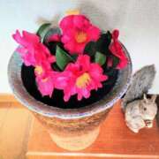 ななえ 私のこと...でしょうか？ 佐久上田人妻隊