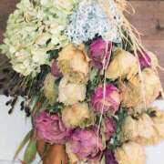 ヒメ日記 2026/02/20 12:15 投稿 ななえ 佐久上田人妻隊