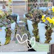 ヒメ日記 2026/02/25 06:36 投稿 ななえ 佐久上田人妻隊