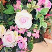 ヒメ日記 2026/02/27 09:16 投稿 ななえ 佐久上田人妻隊