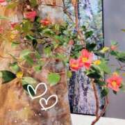 ヒメ日記 2026/03/03 07:47 投稿 ななえ 佐久上田人妻隊